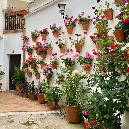 Amal Casa De Huespedes Lägenhet Córdoba Exteriör bild
