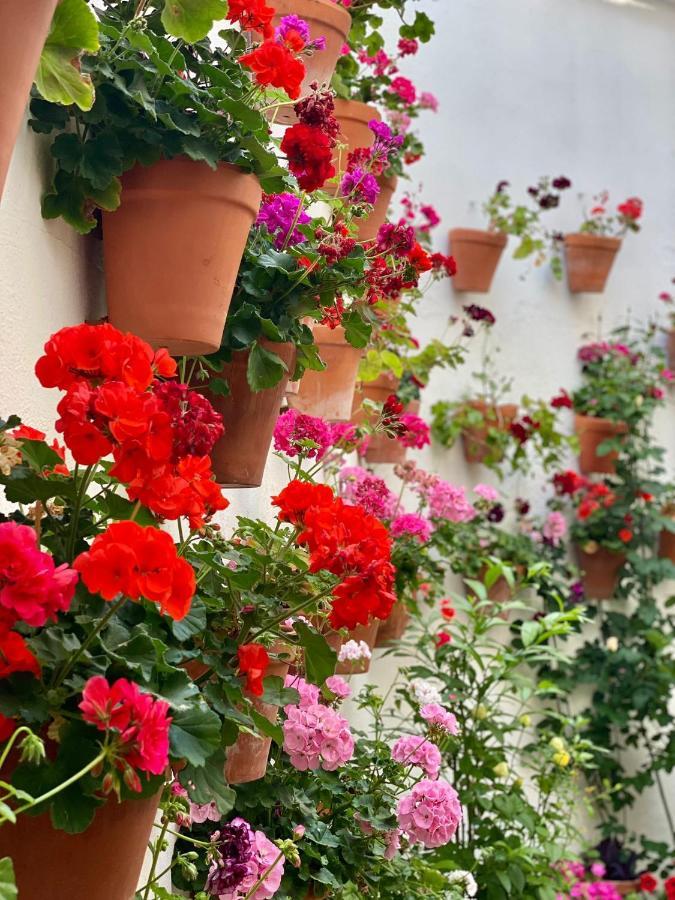 Amal Casa De Huespedes Lägenhet Córdoba Exteriör bild