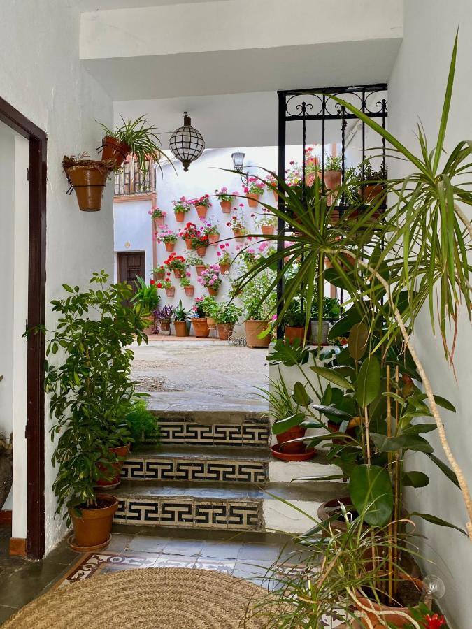 Amal Casa De Huespedes Lägenhet Córdoba Exteriör bild