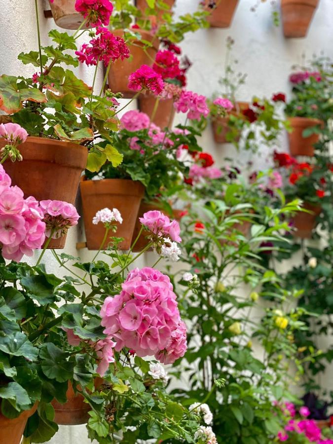 Amal Casa De Huespedes Lägenhet Córdoba Exteriör bild