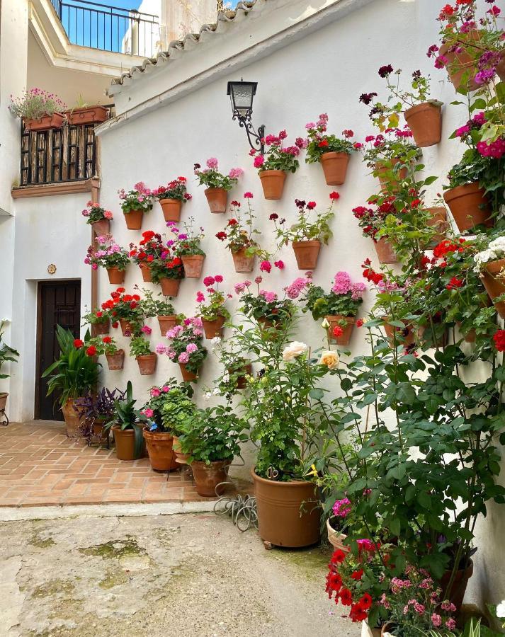 Amal Casa De Huespedes Lägenhet Córdoba Exteriör bild